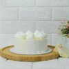 Plain Vanilla - Image 4