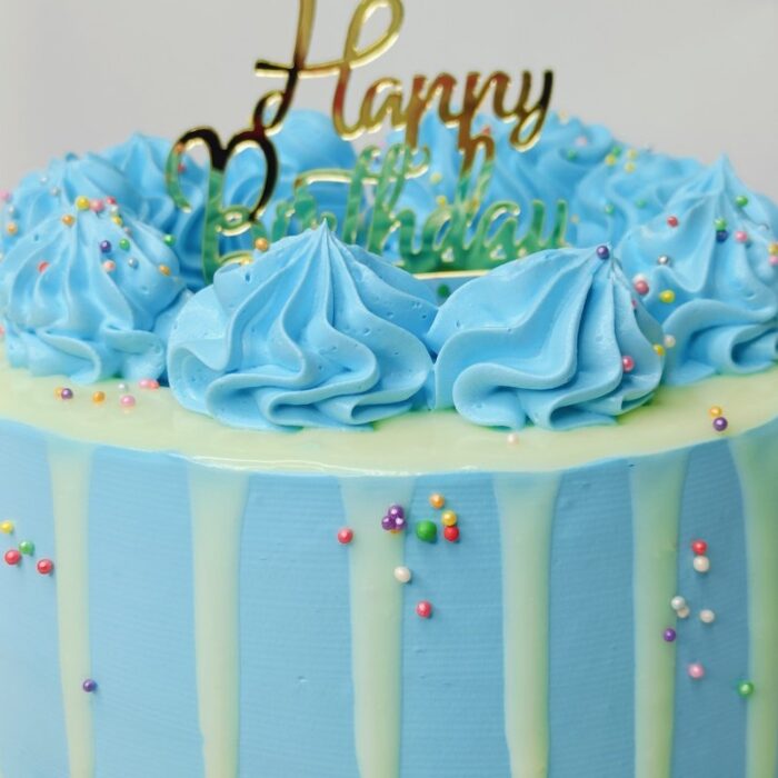 Blue Overall - Image 4