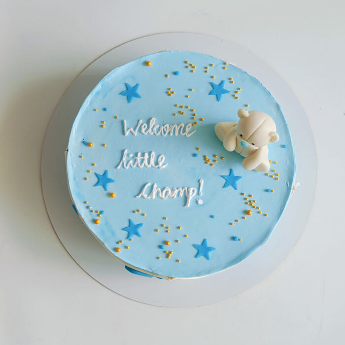 Welcome Teddy - Image 2