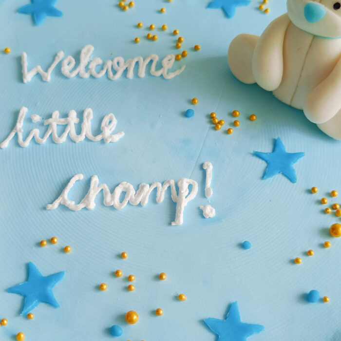 Welcome Teddy - Image 4