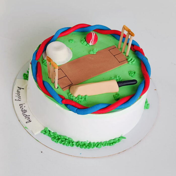Cricket Pitch - Image 3