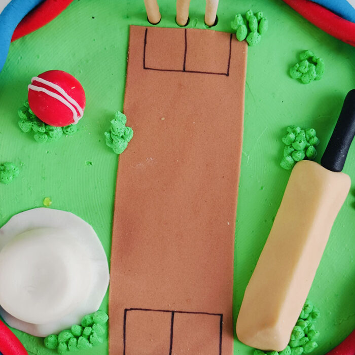Cricket Pitch - Image 4