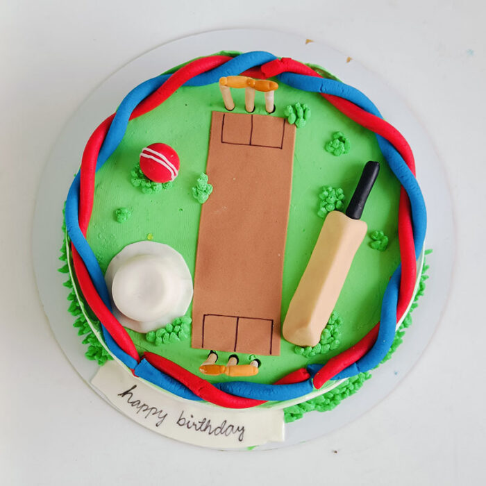 Cricket Pitch - Image 2