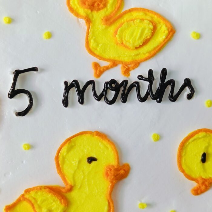 Little Duckling - Image 4