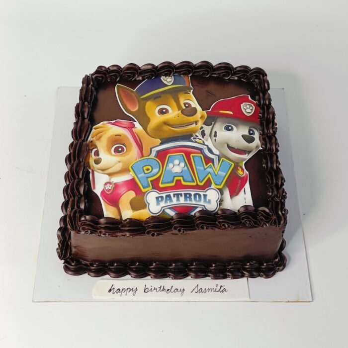 Paw Patrol Coming