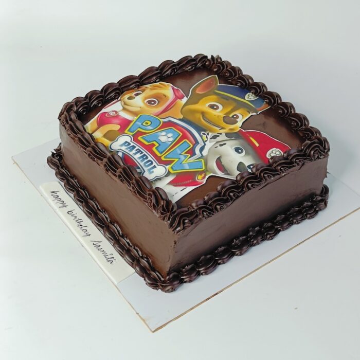 Paw Patrol Coming - Image 3