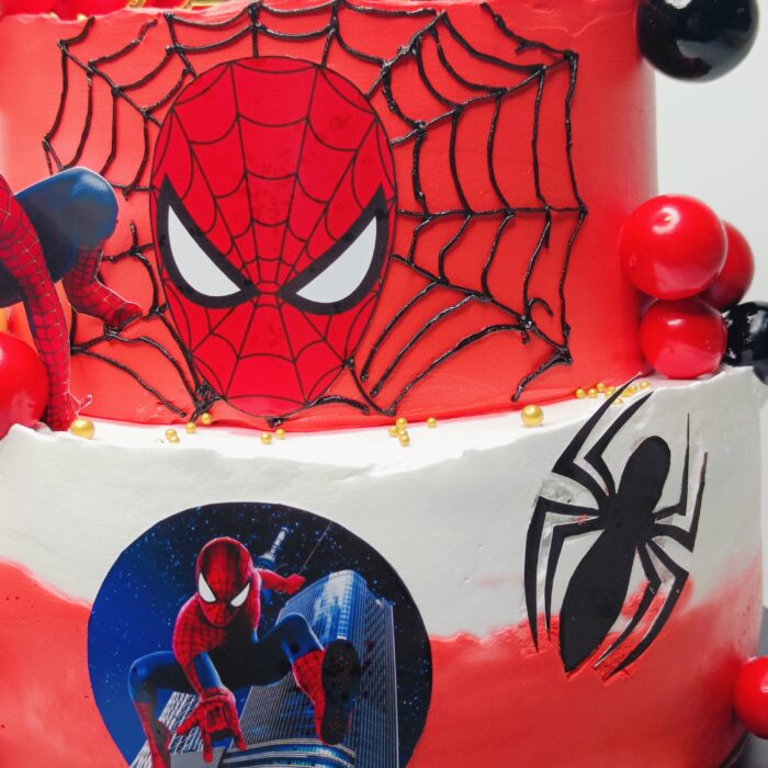 Spider Attack - Image 5