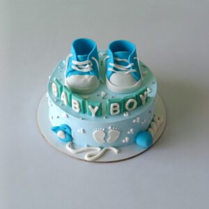 The Blue Shoes