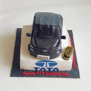 The Tata Car
