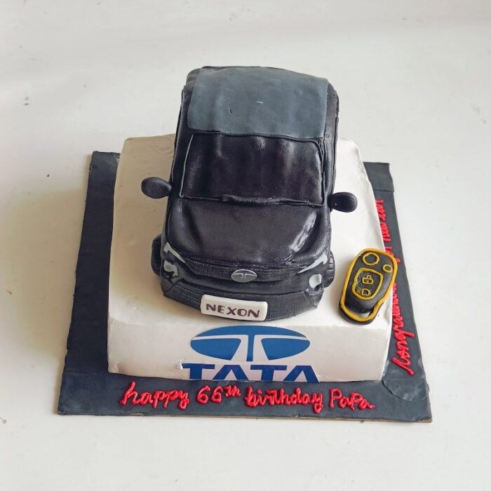 The Tata Car