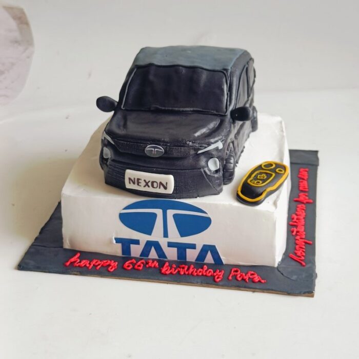 The Tata Car - Image 2