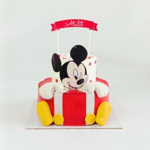 Mickey Mickey
